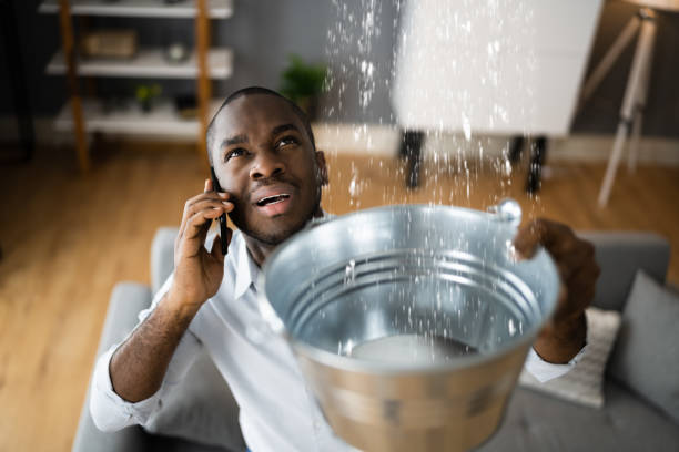 Best Flood damage cleanup  in Carlisle, PA