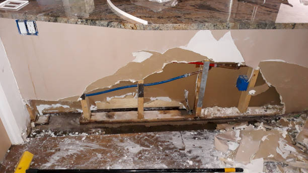 Best Flooded house restoration  in Carlisle, PA