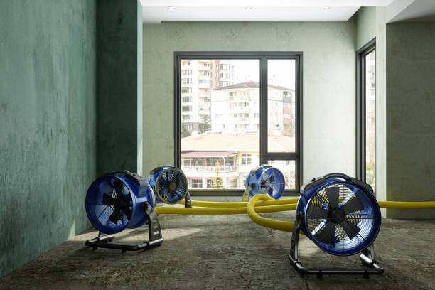 Best Carpet water damage restoration  in Carlisle, PA
